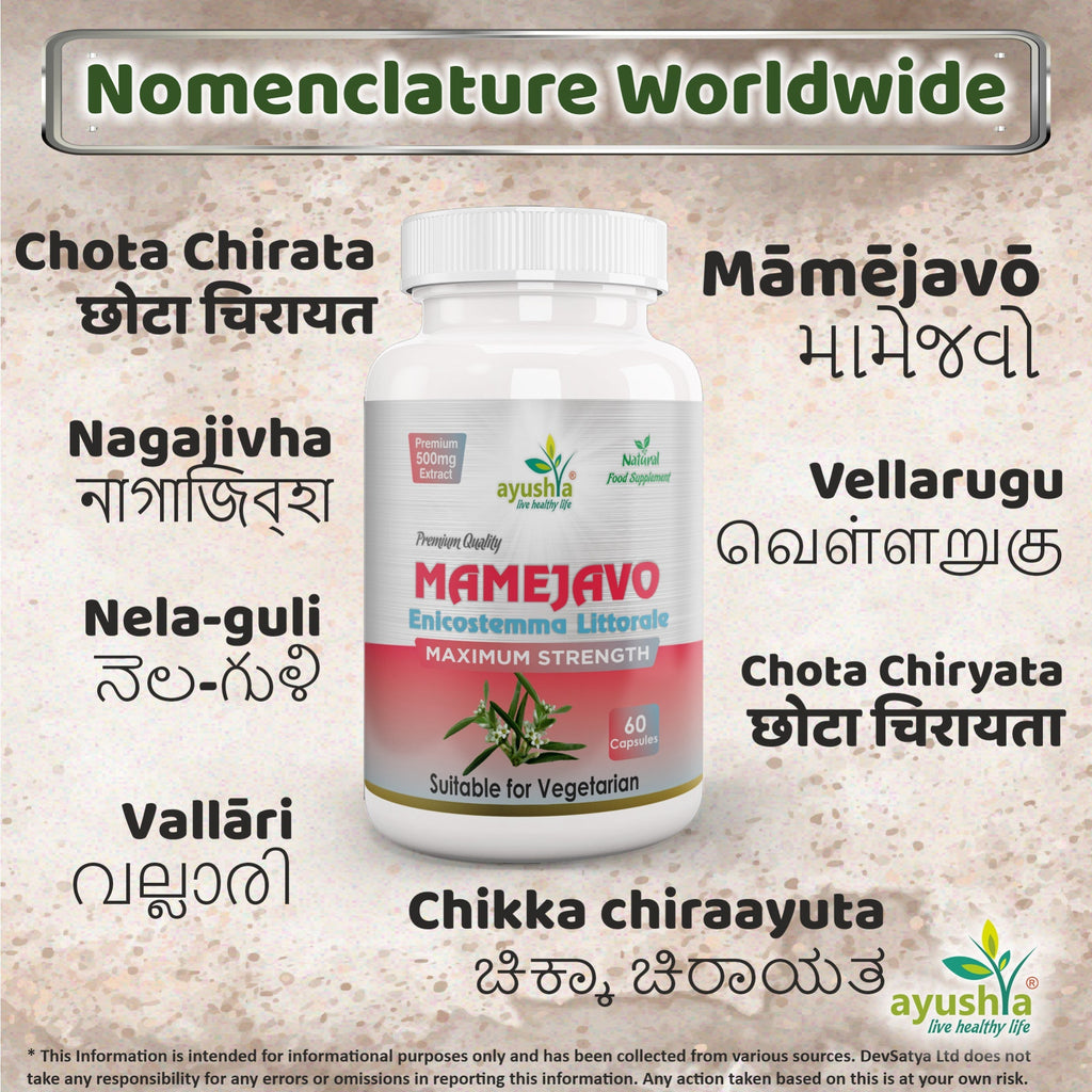 Ayushya Mamejavo Capsules (Enicostemma) Liver & Metabolic Wellness Support - Vegan, Gluten Free, Non-GMO, 60 Capsules