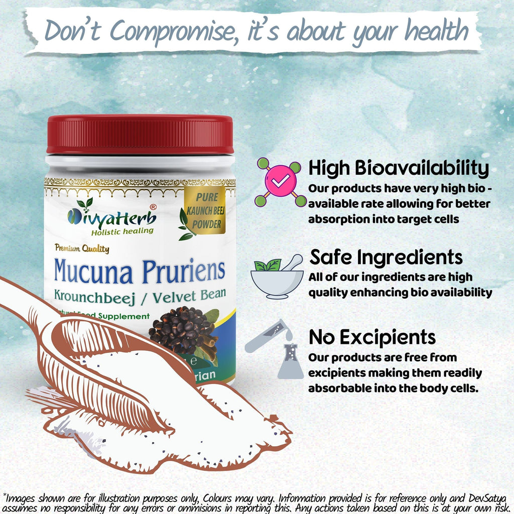 DivyaHerb Mucuna Pruriens Powder 100 gram - Daily Vitality Support