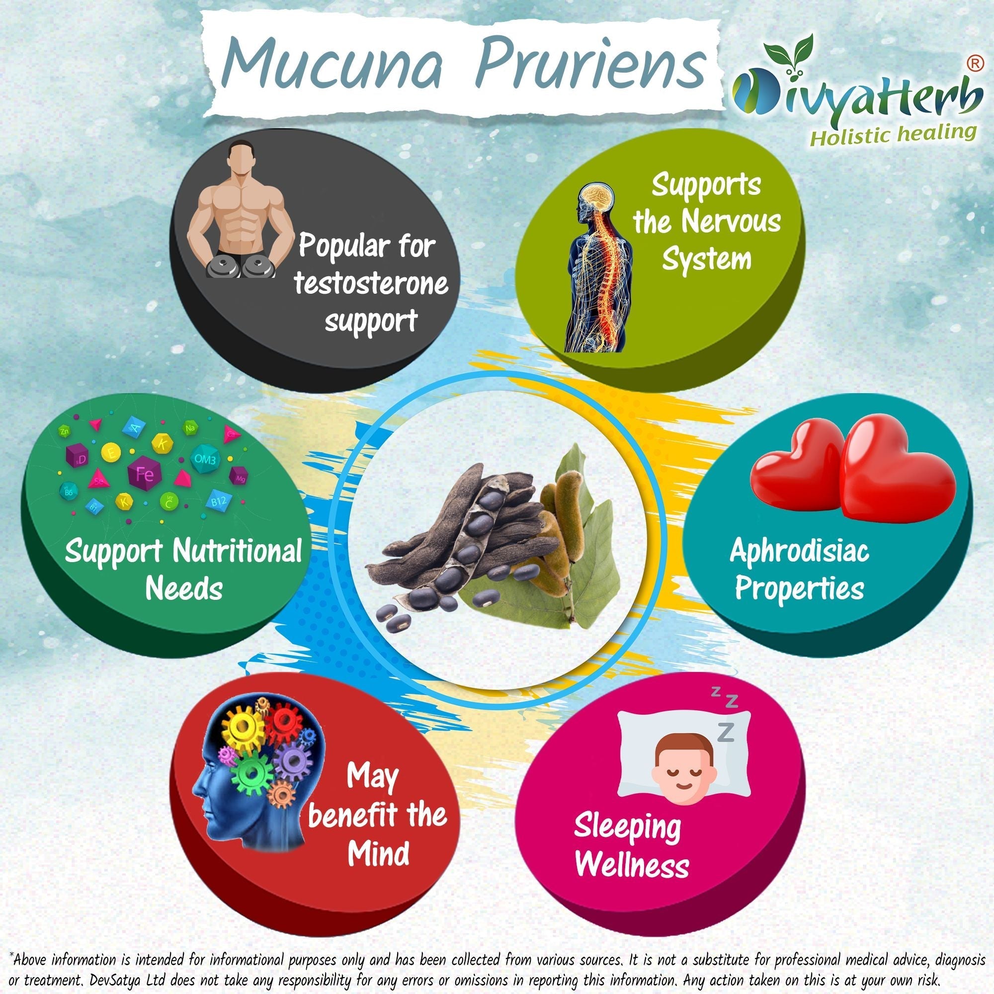 DivyaHerb Mucuna Pruriens Powder 100 gram - Daily Vitality Support