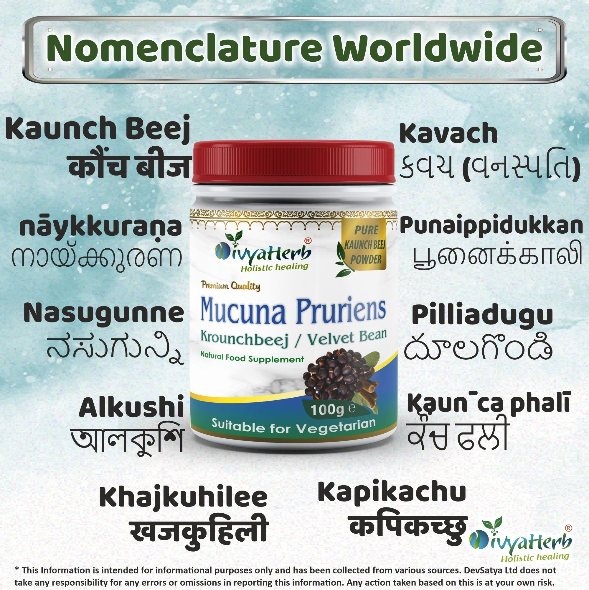 DivyaHerb Mucuna Pruriens Powder 100 gram - Daily Vitality Support