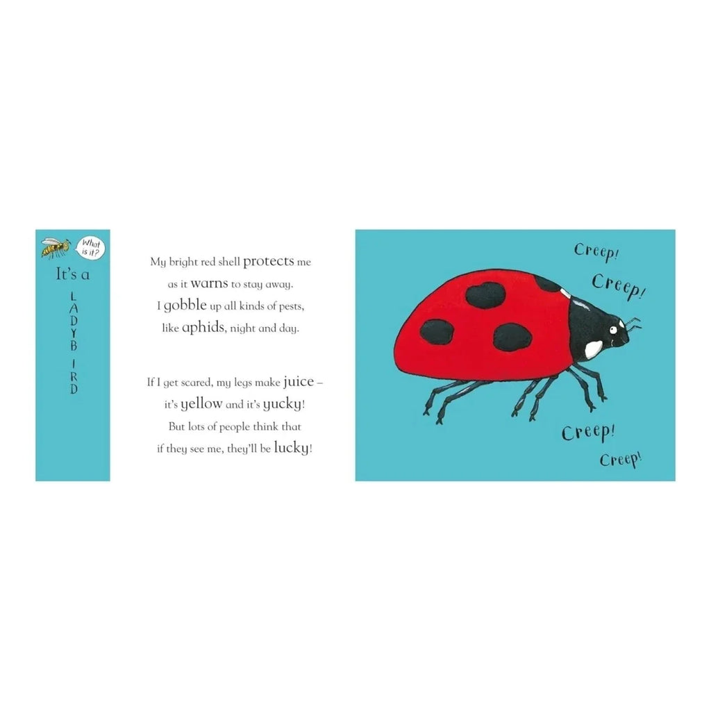Nosy Crow Axel Scheffler's Flip Flap - Minibeasts