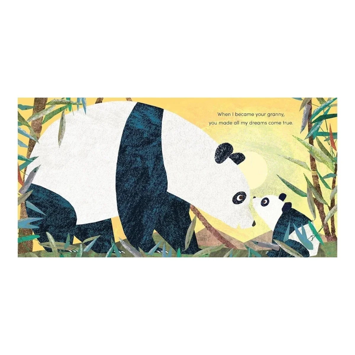 Nosy Crow When I Became Your Granny