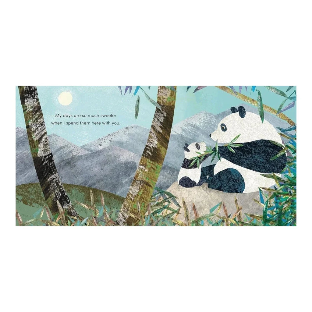 Nosy Crow When I Became Your Granny