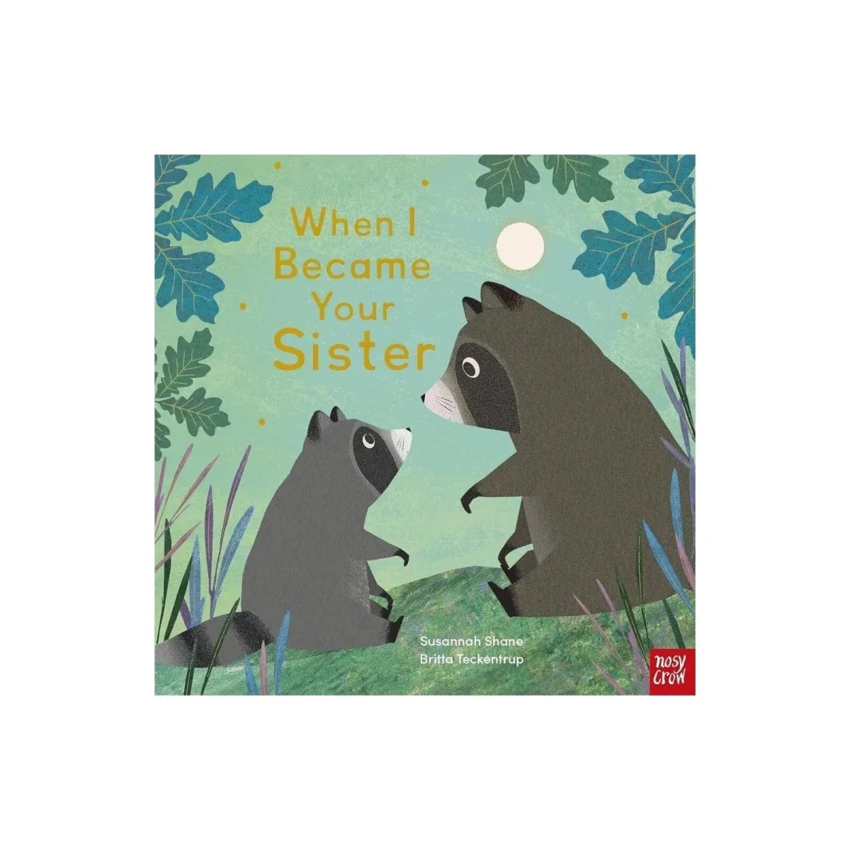 Nosy Crow When I Became Your Sister