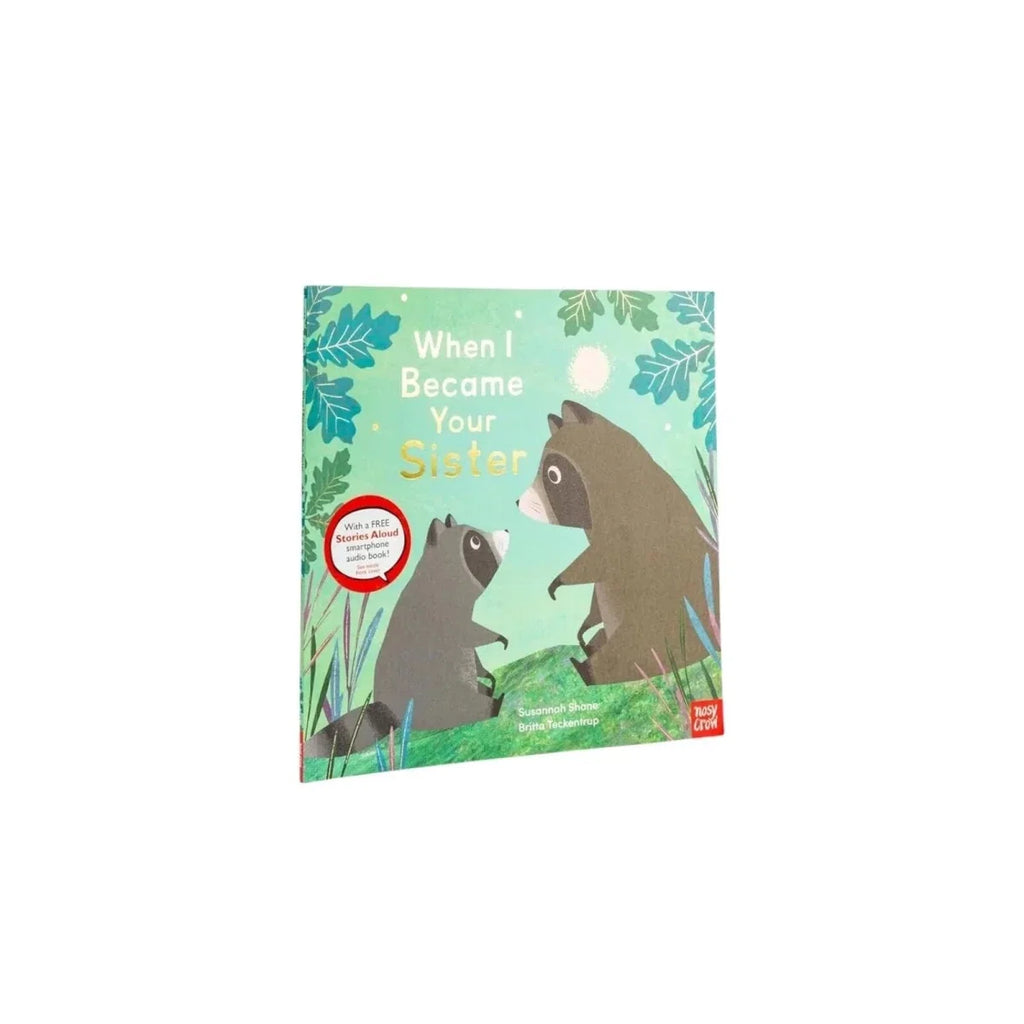 Nosy Crow When I Became Your Sister
