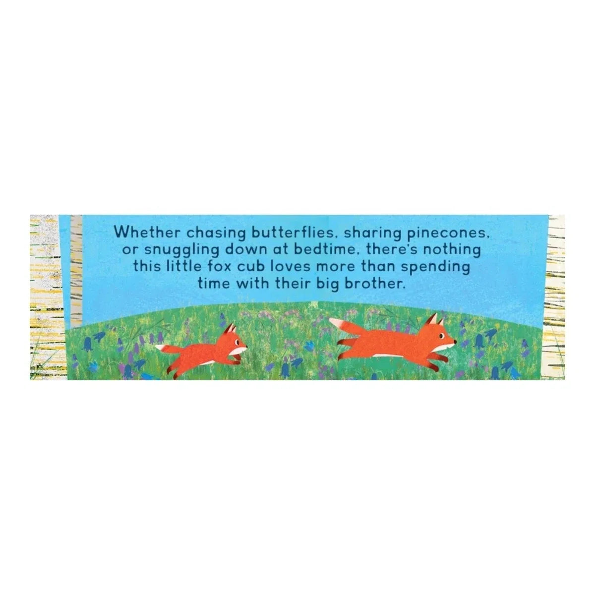 Nosy Crow When I Became Your Brother