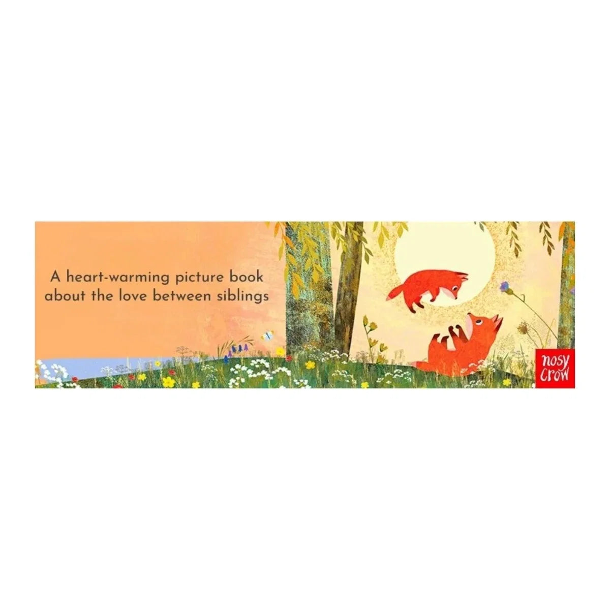 Nosy Crow When I Became Your Brother