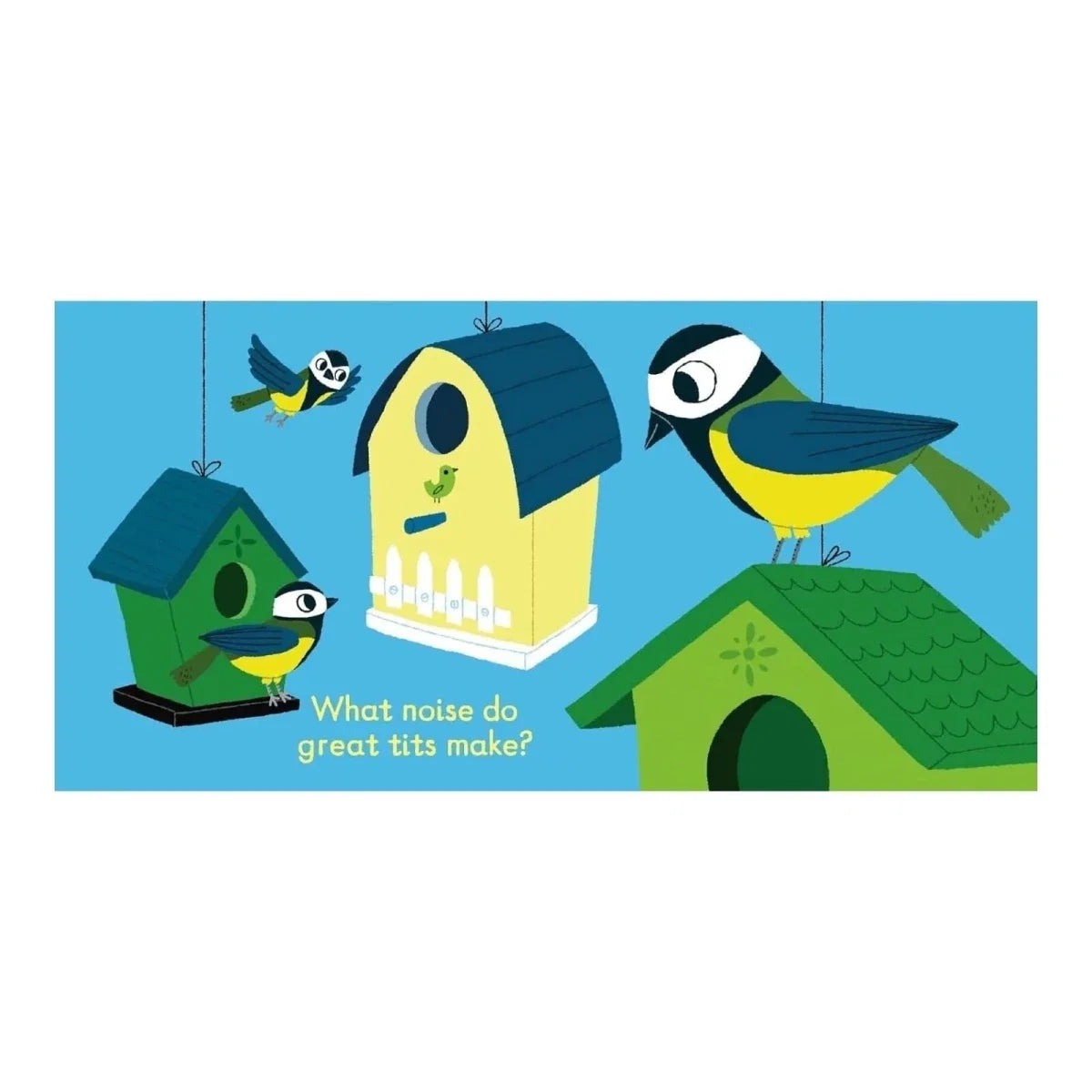 Nosy Crow Listen to the Birds