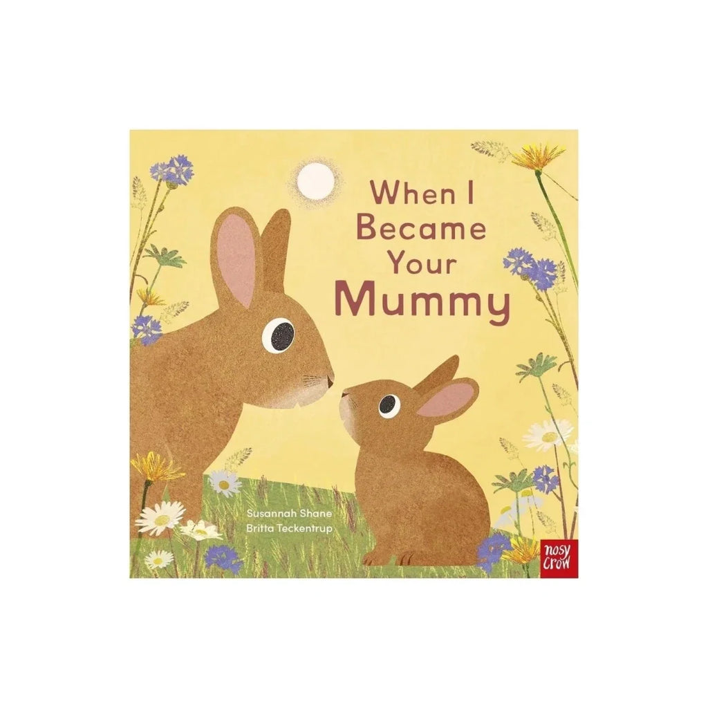Nosy Crow When I Became Your Mummy