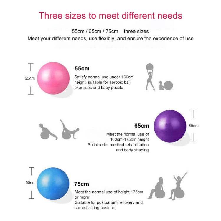 Thickening Explosion-proof Big Yoga Ball Sport Fitness Ball Environmental Pregnant Yoga Ball, Diameter: 65cm, 65cm(Pink), 65cm(Blue), 65cm(Purple)