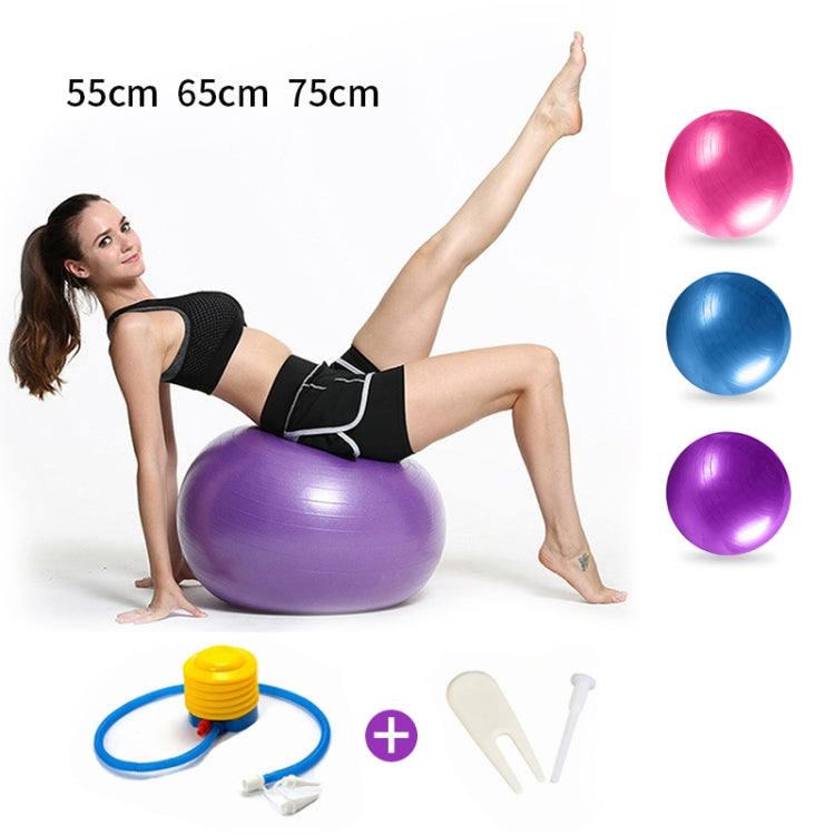 Thickening Explosion-proof Big Yoga Ball Sport Fitness Ball Environmental Pregnant Yoga Ball, Diameter: 65cm, 65cm(Pink), 65cm(Blue), 65cm(Purple)