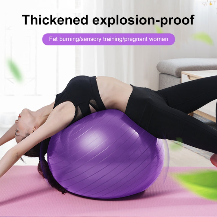 Thickening Explosion-proof Big Yoga Ball Sport Fitness Ball Environmental Pregnant Yoga Ball, Diameter: 65cm, 65cm(Pink), 65cm(Blue), 65cm(Purple)