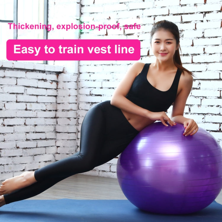 Thickening Explosion-proof Big Yoga Ball Sport Fitness Ball Environmental Pregnant Yoga Ball, Diameter: 65cm, 65cm(Pink), 65cm(Blue), 65cm(Purple)
