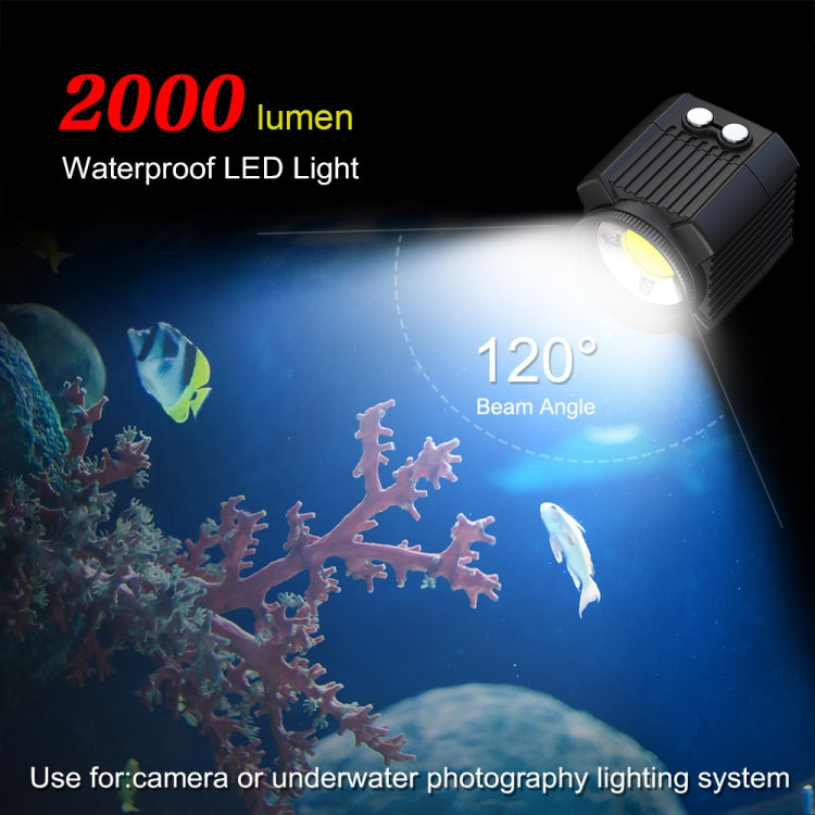 PULUZ 60m Underwater LED Fill Light for GoPro HERO12/11/10/9/8 & Action Cameras (Black)