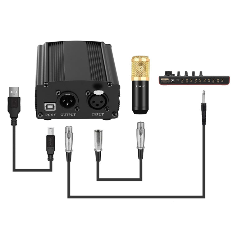 PULUZ Condenser Microphone Studio Kit with Scissor Arm, Shock Mount, and USB Sound Card (Gold)