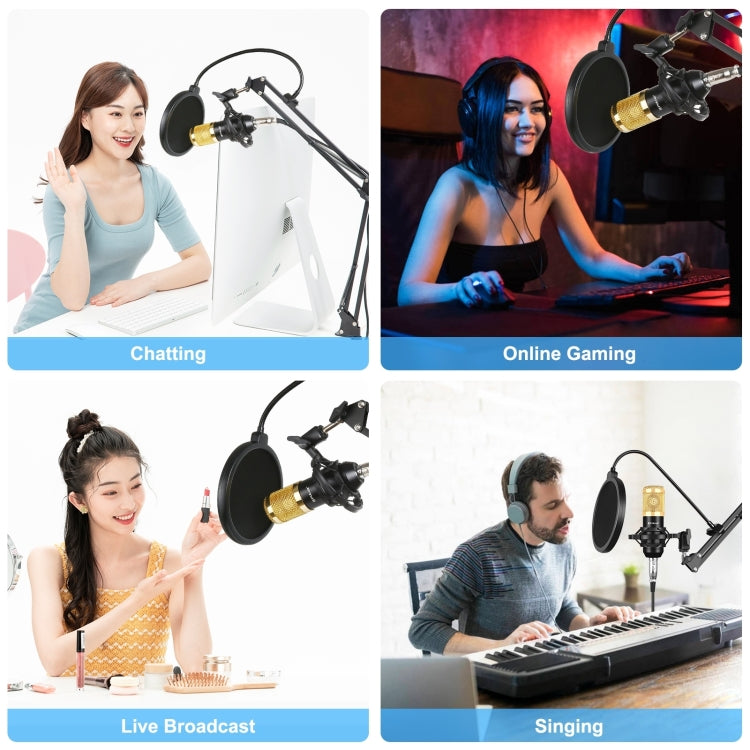 PULUZ Condenser Microphone Studio Kit with Scissor Arm, Shock Mount, and USB Sound Card (Gold)