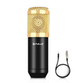 PULUZ Condenser Microphone Studio Broadcast Professional Singing Microphone (Gold)