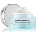 Peter Thomas Roth Water Drench Hyaluronic Cloud Cream Hydrating Moisturiser 50ml