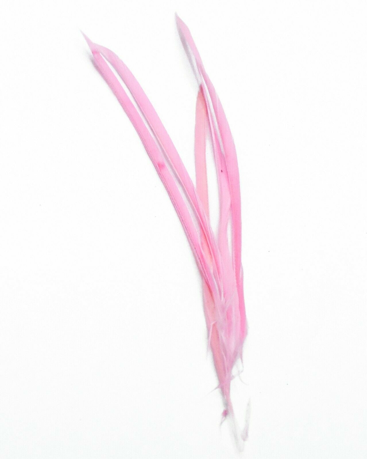 Long Fascinator Feathers Stripped Goose Biot Millinery Hats Trimmings Coloured