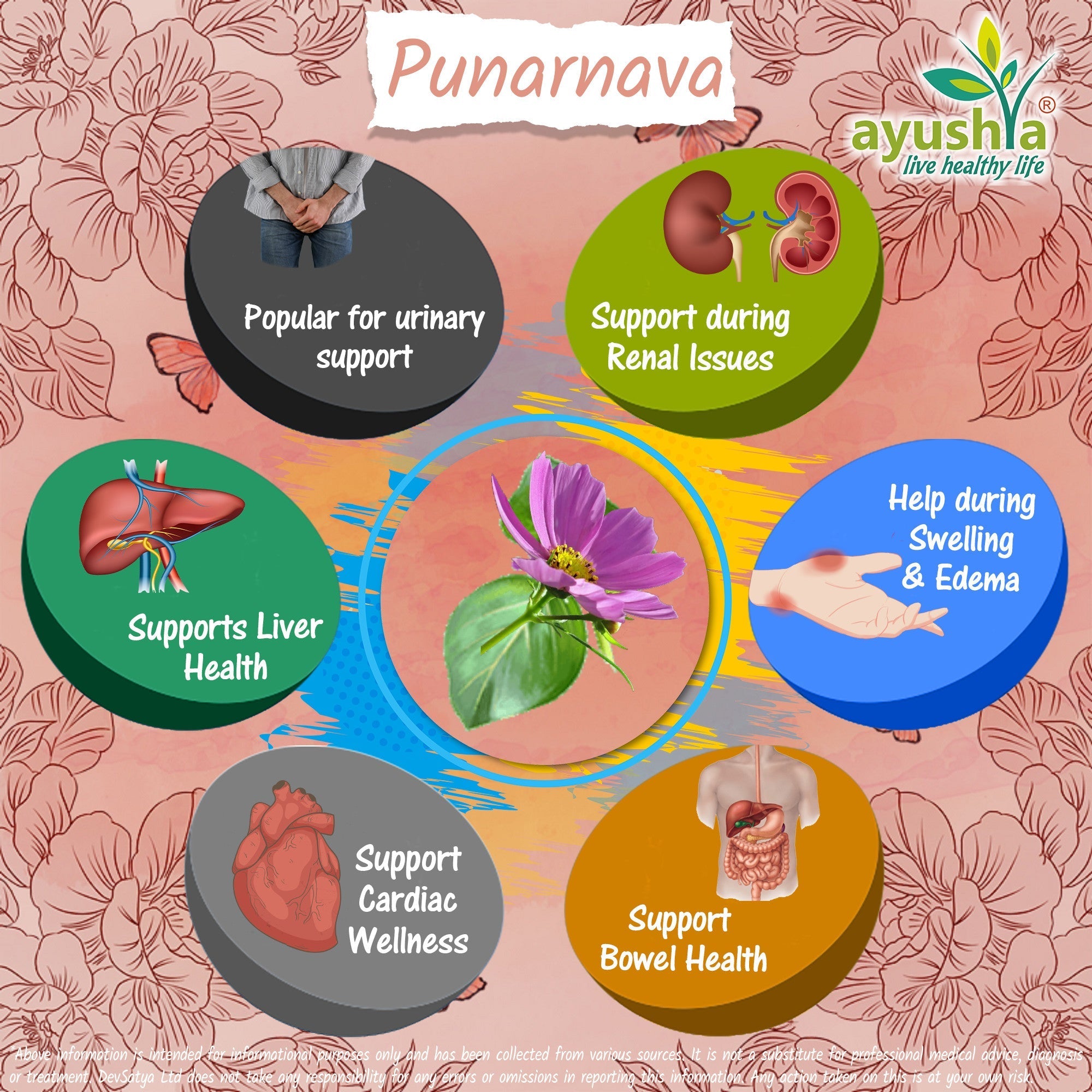 Ayushya Punarnava Capsules (Boerhavia Diffusa, Hogweed) Urinary Wellness Support - Vegan, Gluten Free, Non-GMO, 60 Capsules