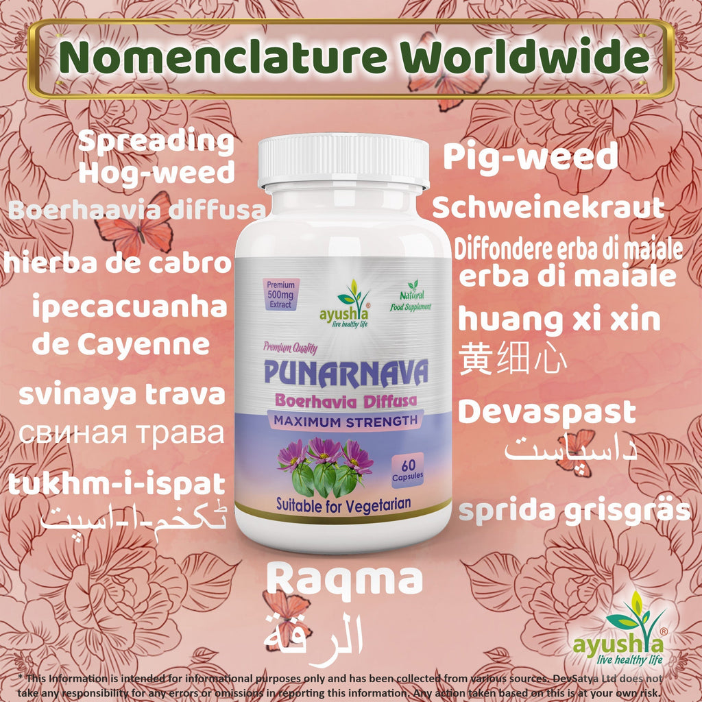 Ayushya Punarnava Capsules (Boerhavia Diffusa, Hogweed) Urinary Wellness Support - Vegan, Gluten Free, Non-GMO, 60 Capsules