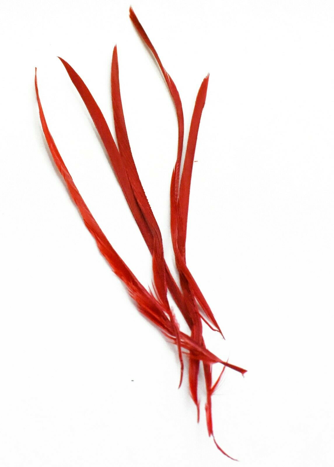 Long Fascinator Feathers Stripped Goose Biot Millinery Hats Trimmings Coloured