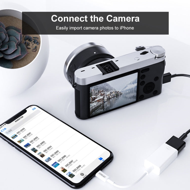ENKAY ENK-AT108 8 Pin to USB 3.0 OTG Adapter Data Cable for iPhone / iPad, ENK-AT108