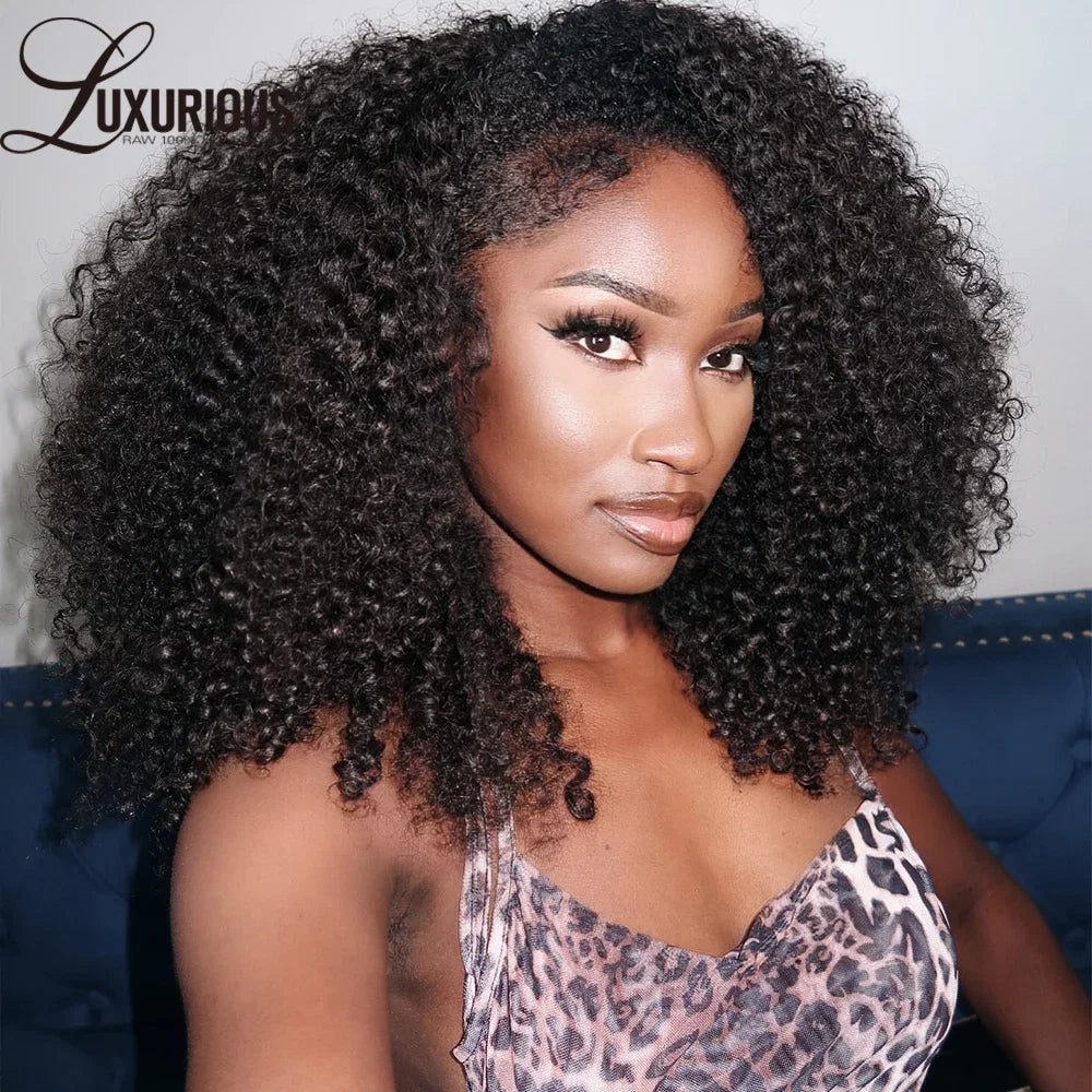 Brazilian 4C Blend Edges Afro Kinky Curly 360 Full Lace Wig 100% Human Hair 13x4 Lace Frontal Wigs Human Hair Bye-Bye Knots 250%