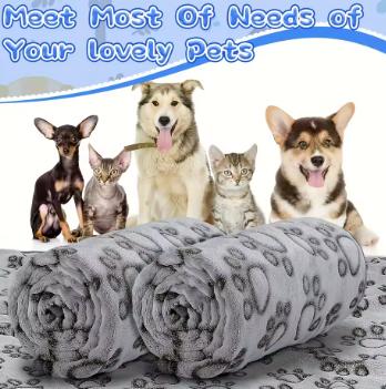 Soft Fluffy Pet Blanket with Cartoon Pattern