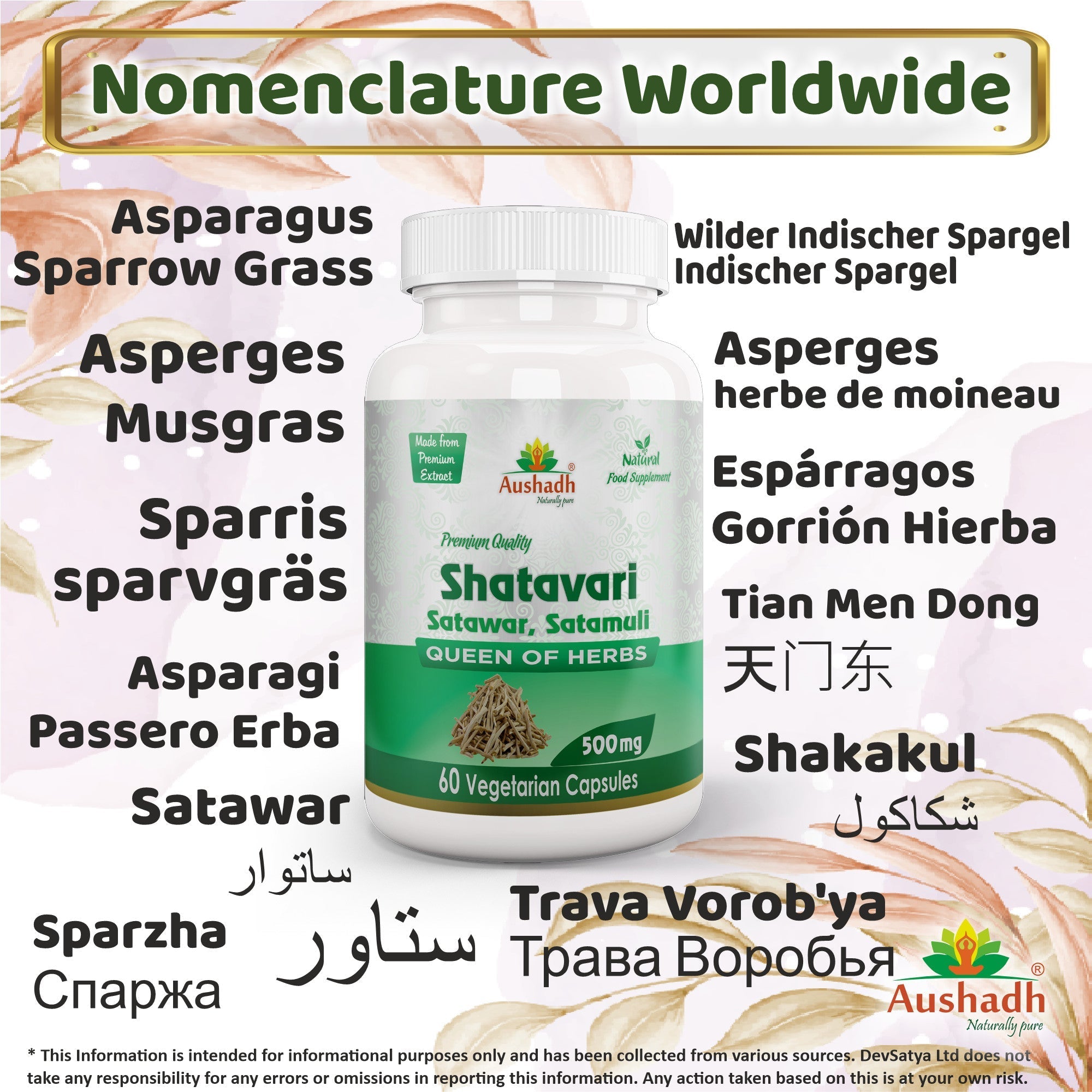 Aushadh Shatavari Capsules (Wild Asparagus) Women’s Wellness Support - Vegan, Gluten Free, Non-GMO, 60 Capsules