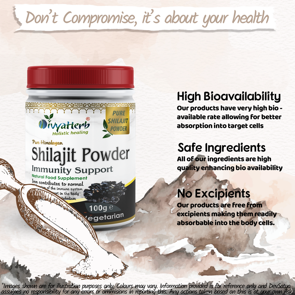 DivyaHerb Shilajit Powder 100 gram - Daily Vitality Support