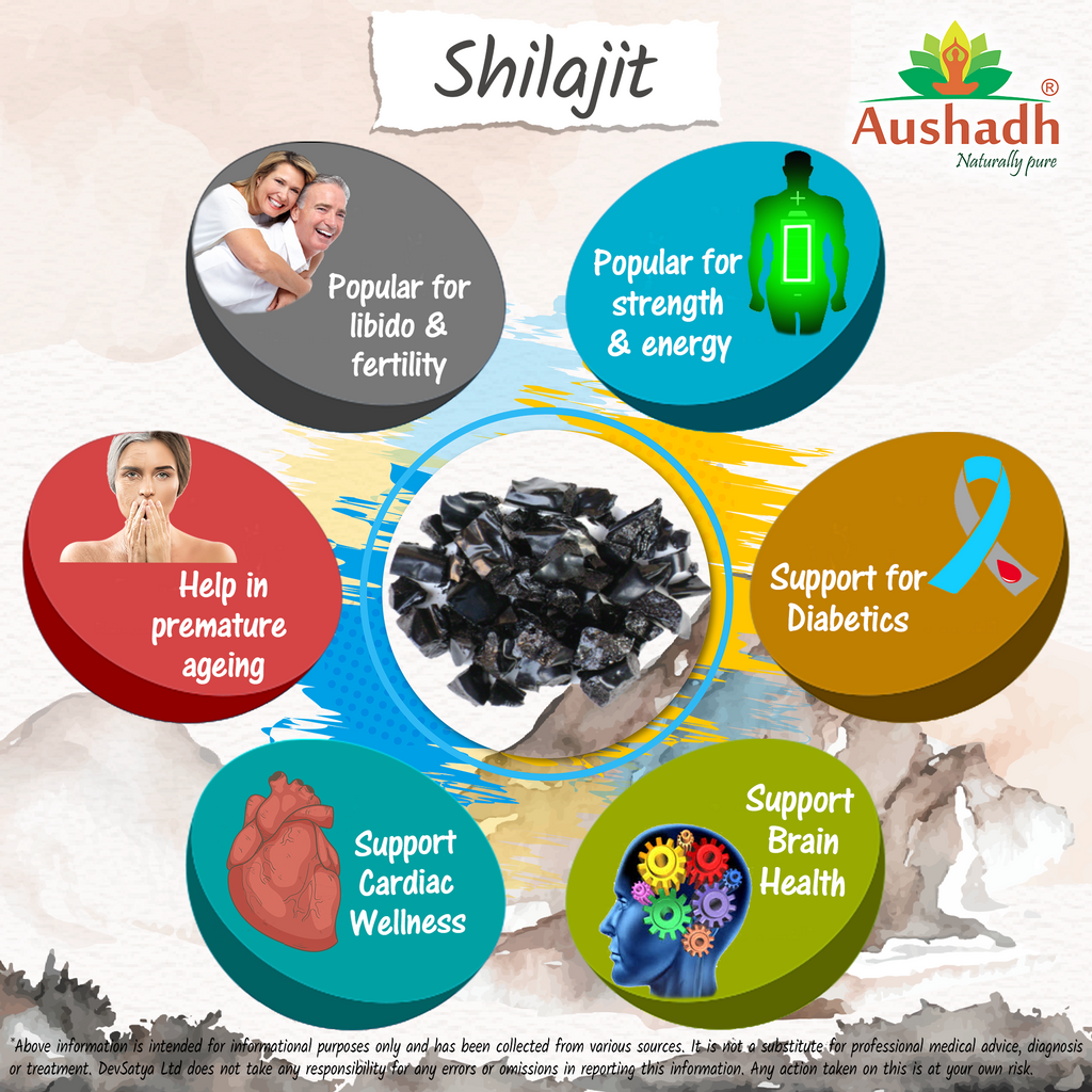 DivyaHerb Shilajit Powder 100 gram - Daily Vitality Support