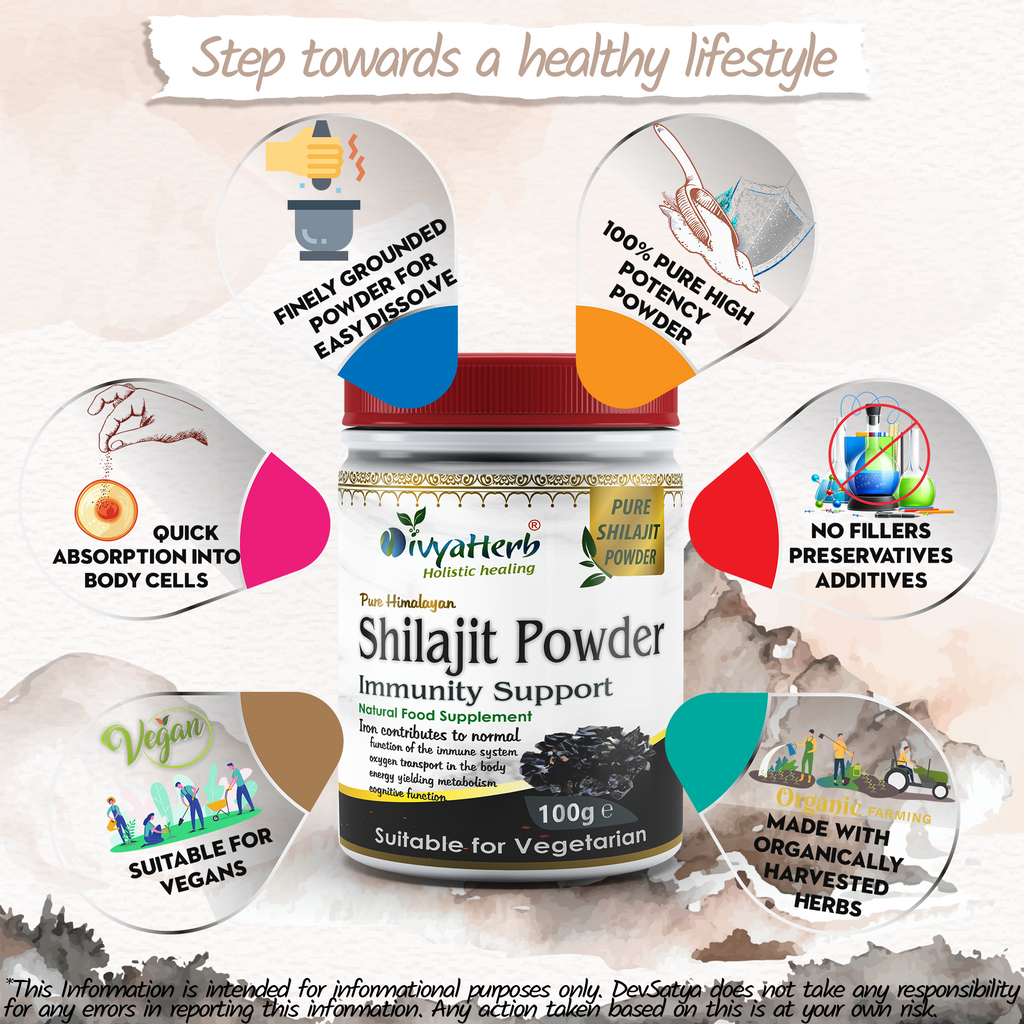 DivyaHerb Shilajit Powder 100 gram - Daily Vitality Support