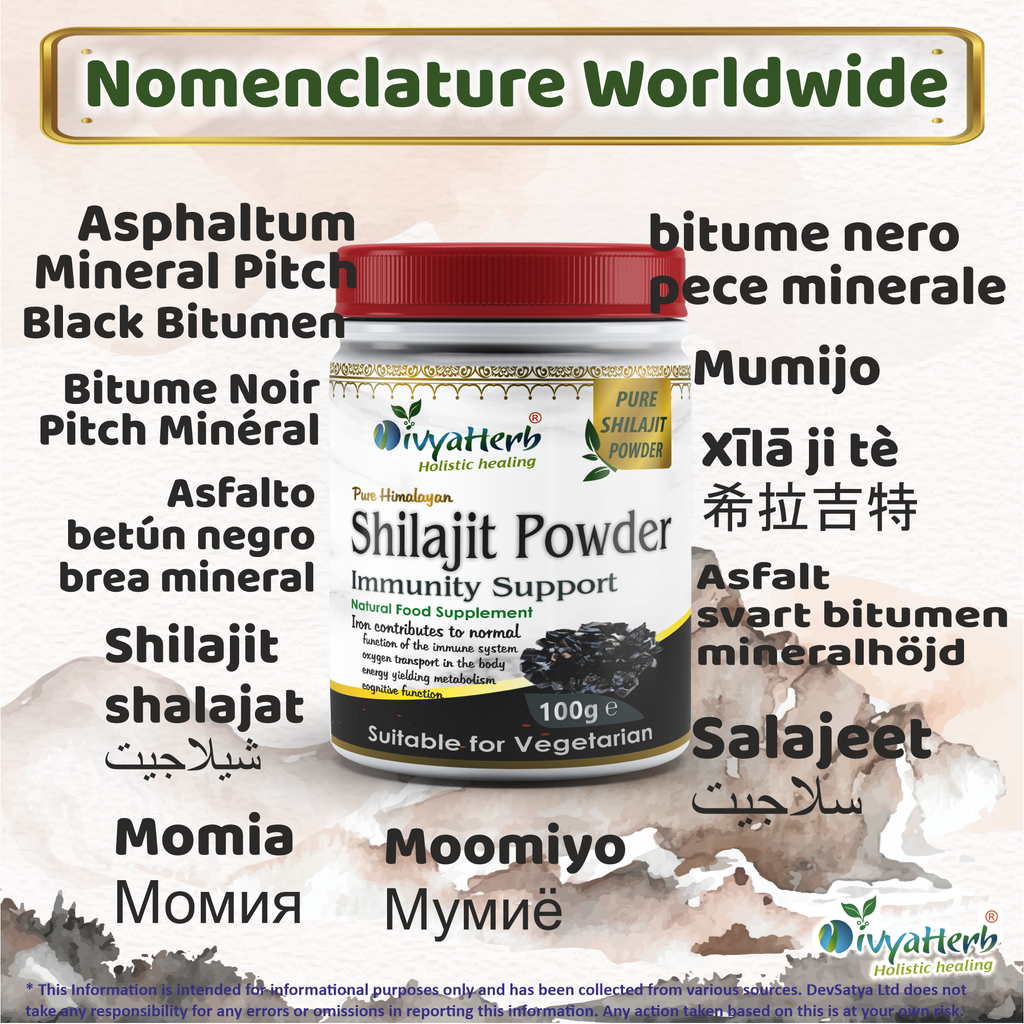 DivyaHerb Shilajit Powder 100 gram - Daily Vitality Support