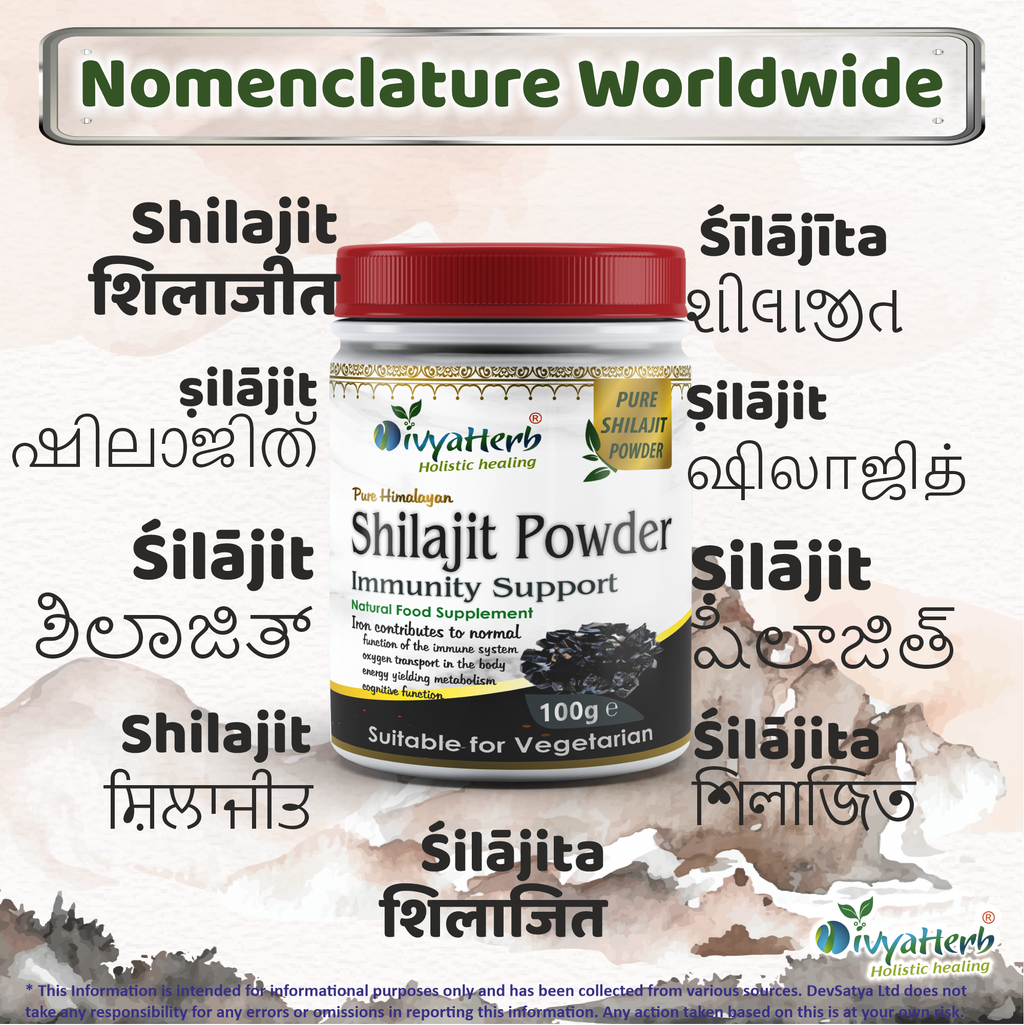 DivyaHerb Shilajit Powder 100 gram - Daily Vitality Support