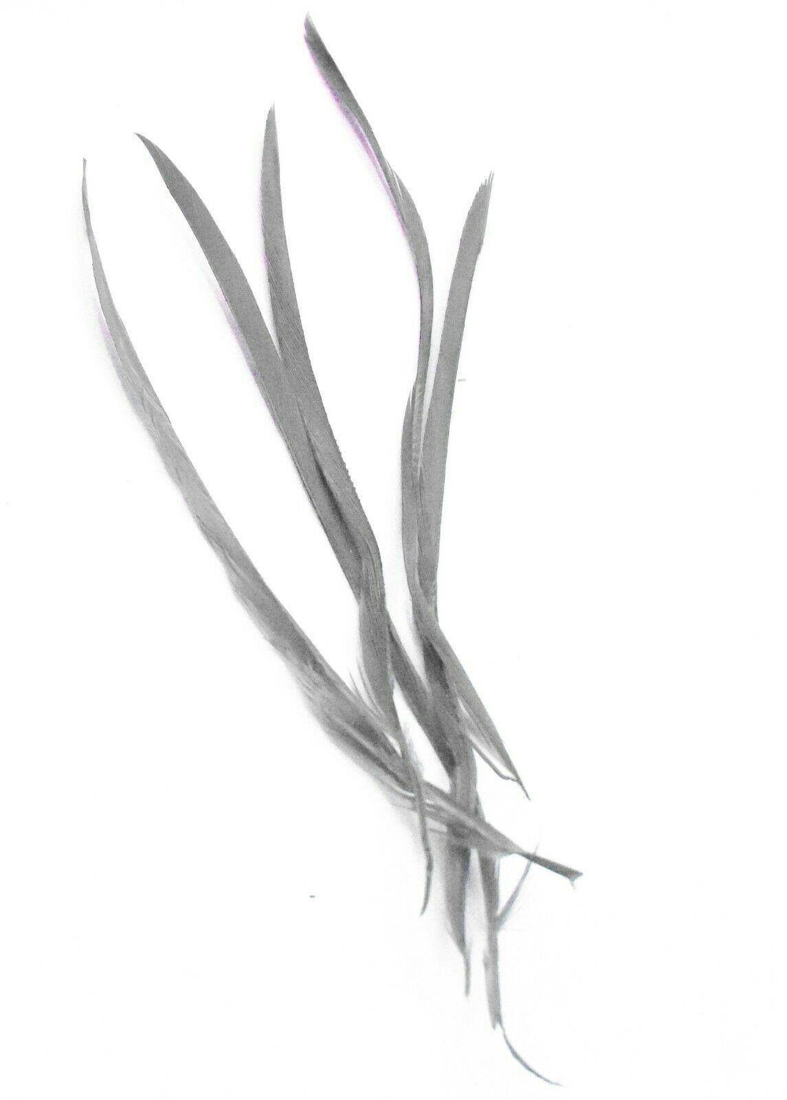 Long Fascinator Feathers Stripped Goose Biot Millinery Hats Trimmings Coloured