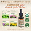 DETOX Organic Tincture - Remove Impurities & Stimulate Your Body