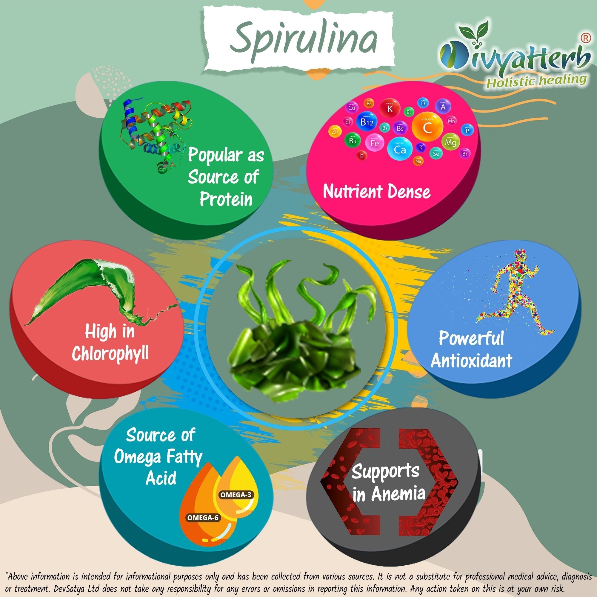 DivyaHerb Spirulina Powder 100 gram - Daily Vitality Support