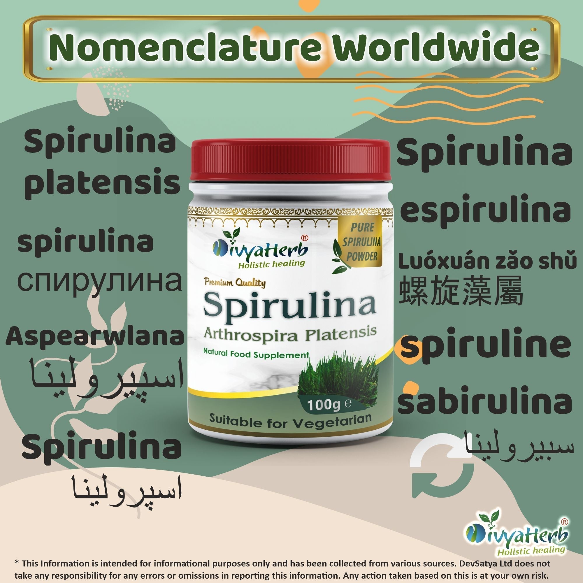 DivyaHerb Spirulina Powder 100 gram - Daily Vitality Support