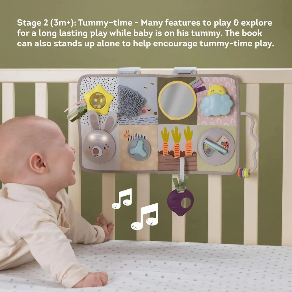 Taf Toys Developmental Activity Centre Book