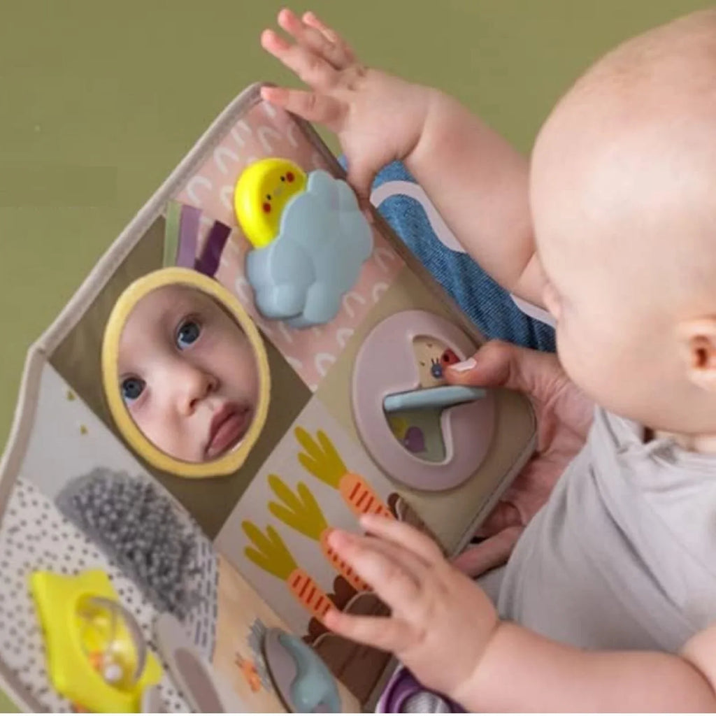 Taf Toys Developmental Activity Centre Book