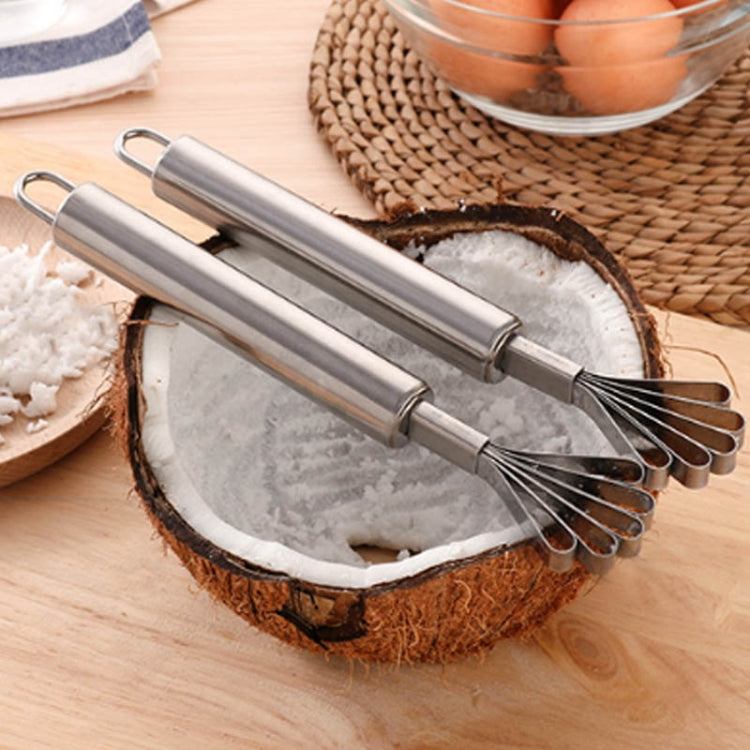 Stainless Steel Copra Planer All Steel Handle Coconut Planing Fish Scale Planer Seeder(Silver)