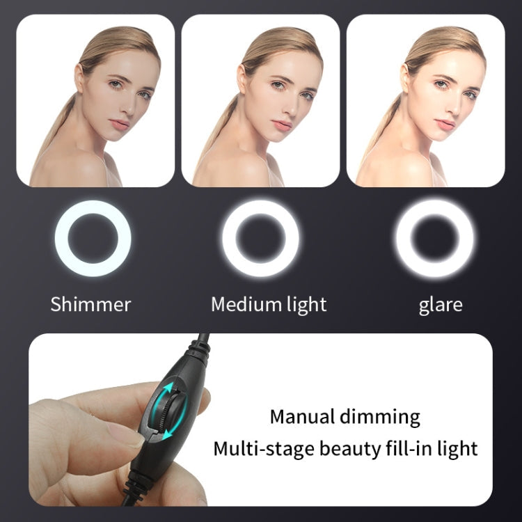 A9mini USB Drive-Free HD Fill Light Camera with Microphone, Pixel:2.0 Million Pixels 1080P