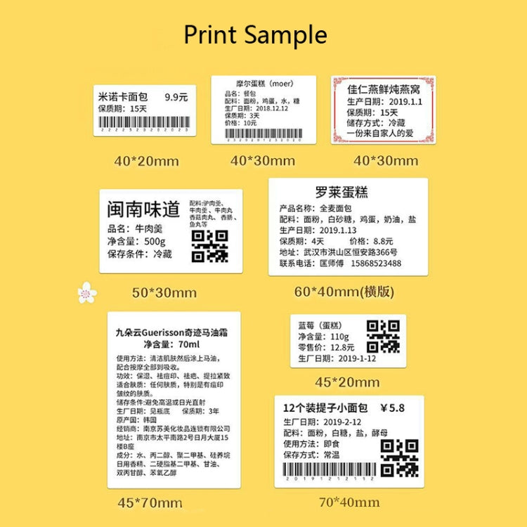 NIIMBOT B21 Food Price Marking Machine Production Date Marking Machine Baking Cake Bakery Price Labeling Machine Green