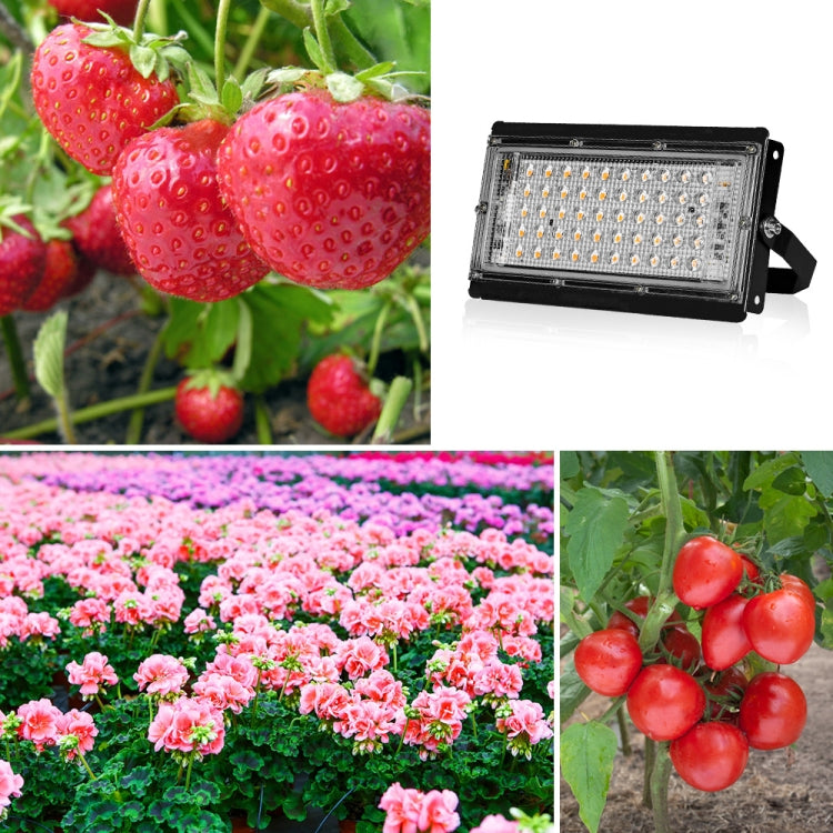 LED Plant Light Full Spectroscopy Waterproof Growth Lamp Seedlings Vegetable Filling Lamp, Power: UK Plug 50 Beads 50W(Pink Light)