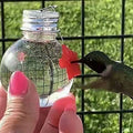 Hanging Bird Feeder Outdoor Hummingbird Feeder Bulb