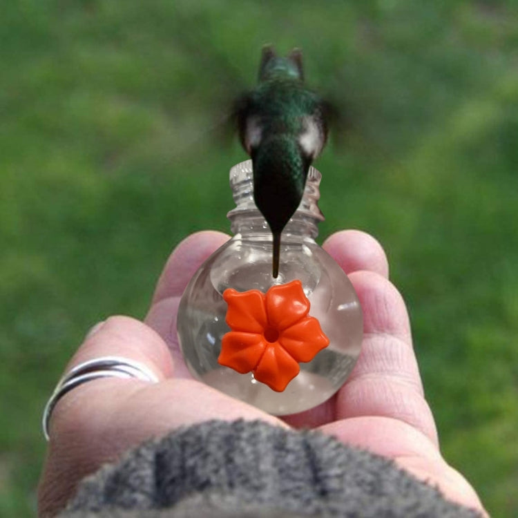 Hanging Bird Feeder Outdoor Hummingbird Feeder Bulb