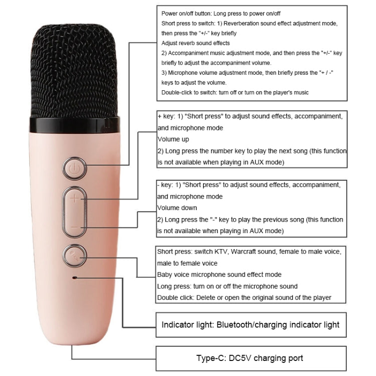 Portable RGB Lighting Effect Bluetooth Speaker Home Mini Karaoke Audio, Style: Dual Microphone+Speaker(Pink)