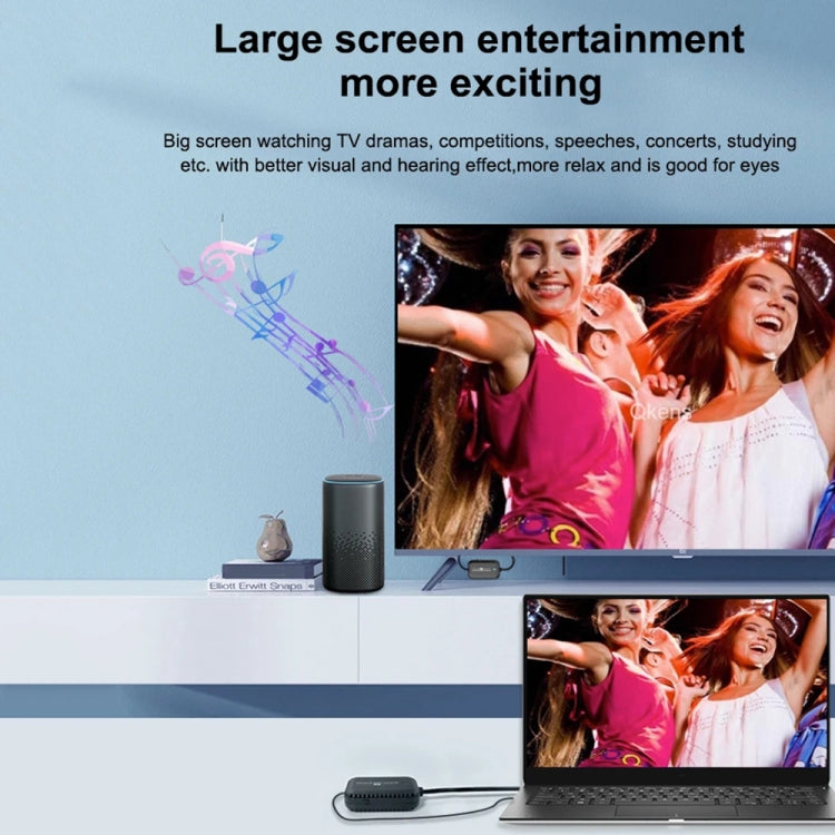 PWAY DT248W-H 30m Wireless HD Screen Projector Office Conference Screen Sharing Device(Type-C Interface)