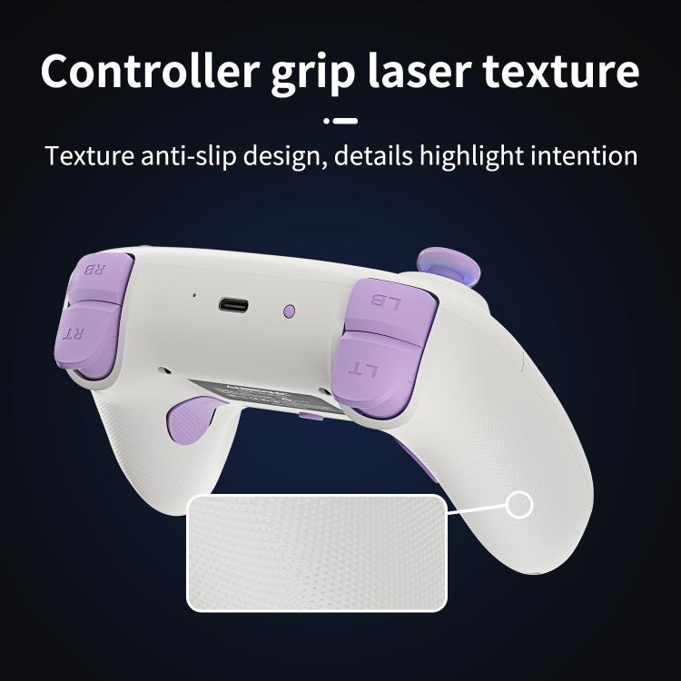 ANBERNIC RGP01 Multi-Platform Gaming Controller for PC/Switch/Steam With Hall Effect Joystick & Triggers, 3-Mode Connectivity, RGB, White, Black, Purple, With Receiver White, With Receiver Black, With Receiver Purple